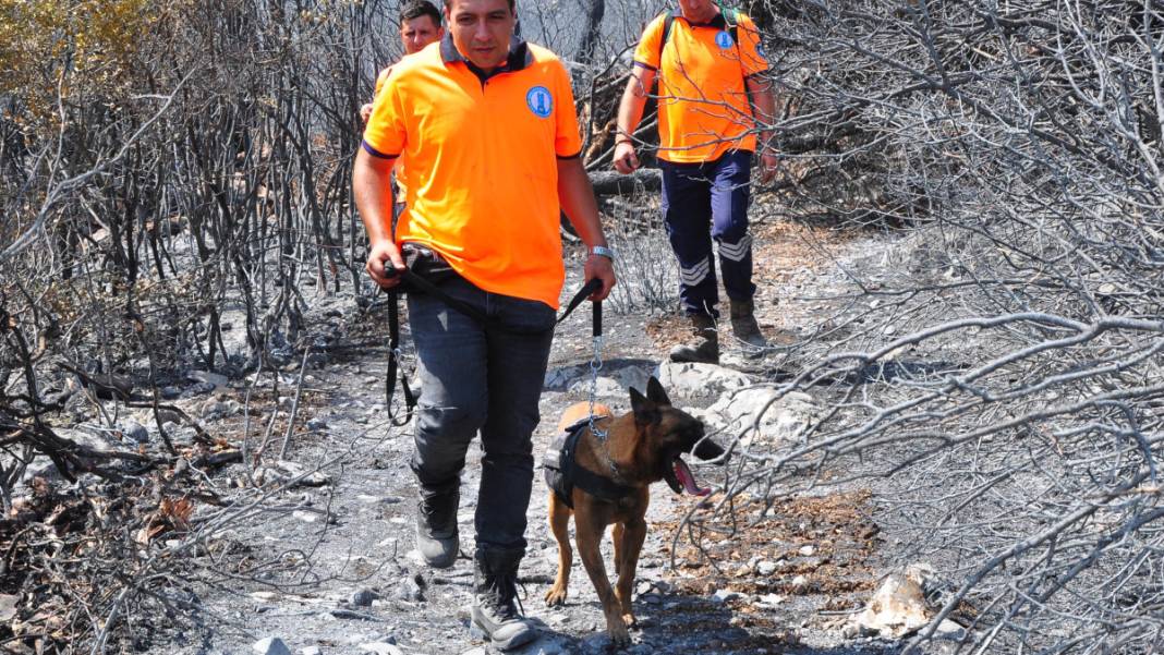 Kabus 23 saat sürmüştü: Sabotaj şüphesini 'Tarzan' çözecek 3